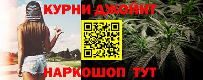 гашик Дубна