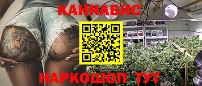 гашик Дубна