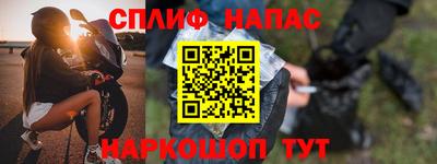 гашик Дубна