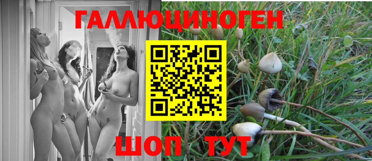 Галлюциногенные грибы мицелий Камышин