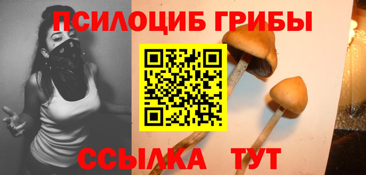 Камышин  Галлюциногенные грибы Magic Shrooms  Вход с VPN 